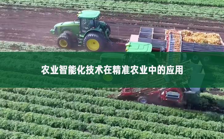農(nóng)業(yè)智能化技術(shù)在精準(zhǔn)農(nóng)業(yè)中的應(yīng)用