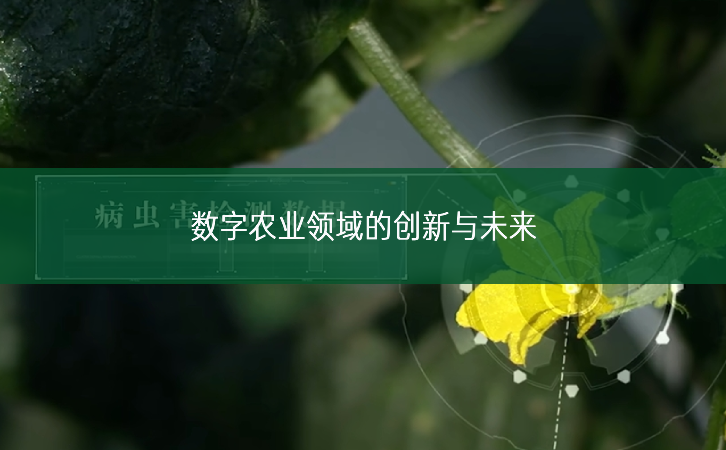 數(shù)字農(nóng)業(yè)領(lǐng)域的創(chuàng)新與未來(lái)