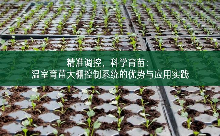 精準(zhǔn)調(diào)控，科學(xué)育苗：溫室育苗大棚控制系統(tǒng)的優(yōu)勢與應(yīng)用實踐