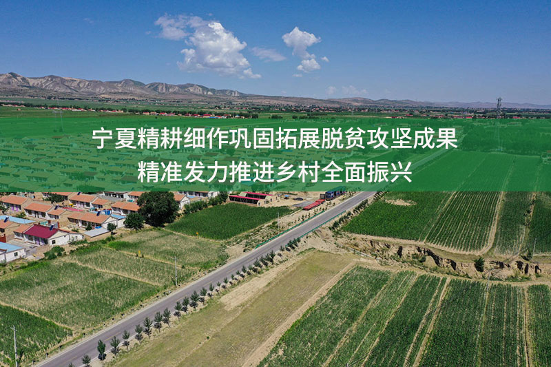 寧夏精耕細作鞏固拓展脫貧攻堅成果 精準發(fā)力推進鄉(xiāng)村全面振興