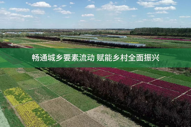 暢通城鄉(xiāng)要素流動 賦能鄉(xiāng)村全面振興
