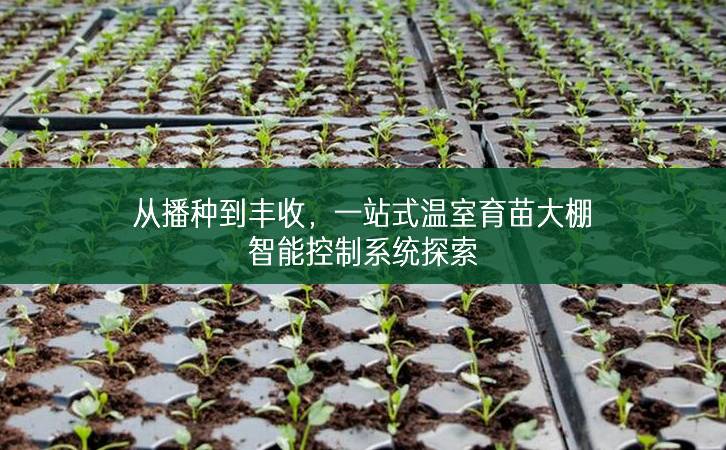 從播種到豐收，一站式溫室育苗大棚智能控制系統(tǒng)探索