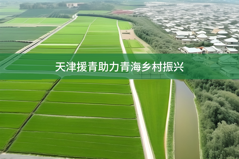 天津援青助力青海鄉(xiāng)村振興