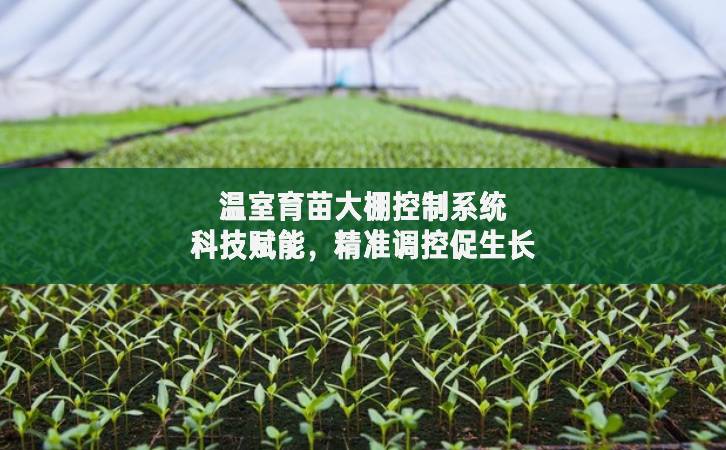 溫室育苗大棚控制系統(tǒng)：科技賦能，精準(zhǔn)調(diào)控促生長