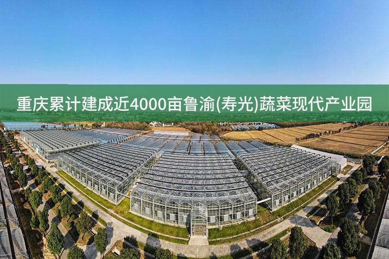 重慶累計建成近4000畝魯渝(壽光)蔬菜現代產業園
