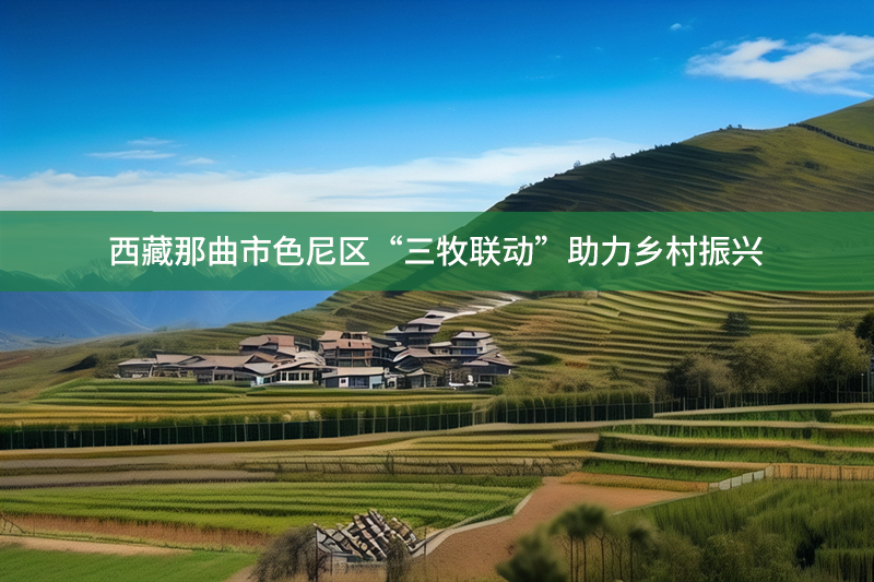 西藏那曲市色尼區“三牧聯動”助力鄉村振興