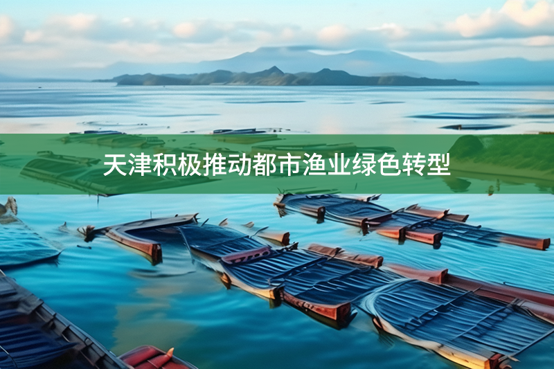 天津積極推動都市漁業(yè)綠色轉(zhuǎn)型
