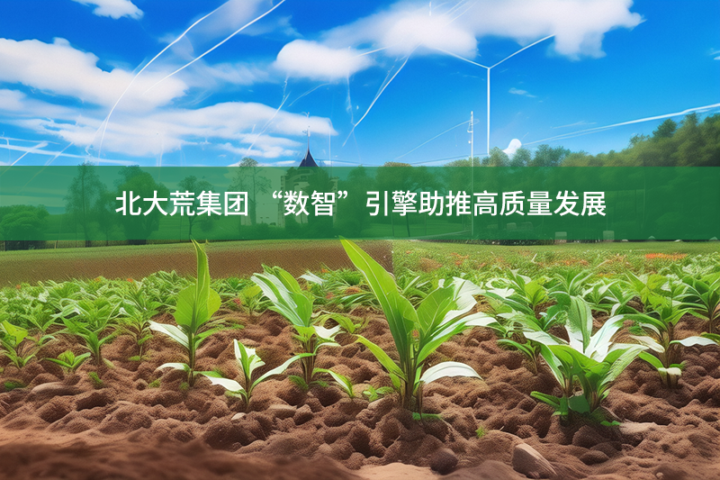 北大荒集團 “數智”引擎助推高質量發展