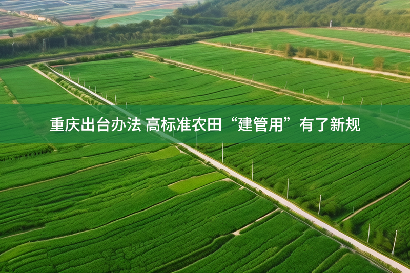 重慶出臺辦法 高標準農田“建管用”有了新規
