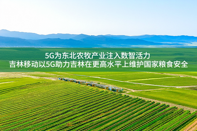 5G為東北農(nóng)牧產(chǎn)業(yè)注入數(shù)智活力 吉林移動(dòng)以5G助力吉林在更高水平上維護(hù)國(guó)家糧食安全