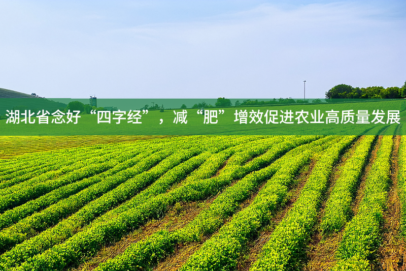 湖北省念好“四字經(jīng)”，減“肥”增效促進(jìn)農(nóng)業(yè)高質(zhì)量發(fā)展