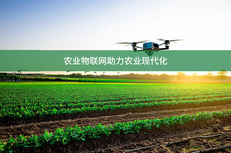 農(nóng)業(yè)物聯(lián)網(wǎng)助力農(nóng)業(yè)現(xiàn)代化