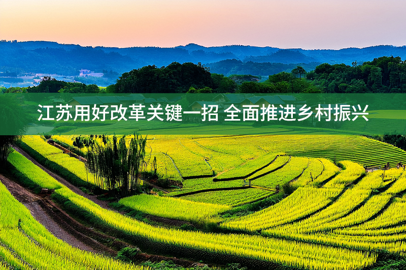 江蘇用好改革關(guān)鍵一招 全面推進(jìn)鄉(xiāng)村振興