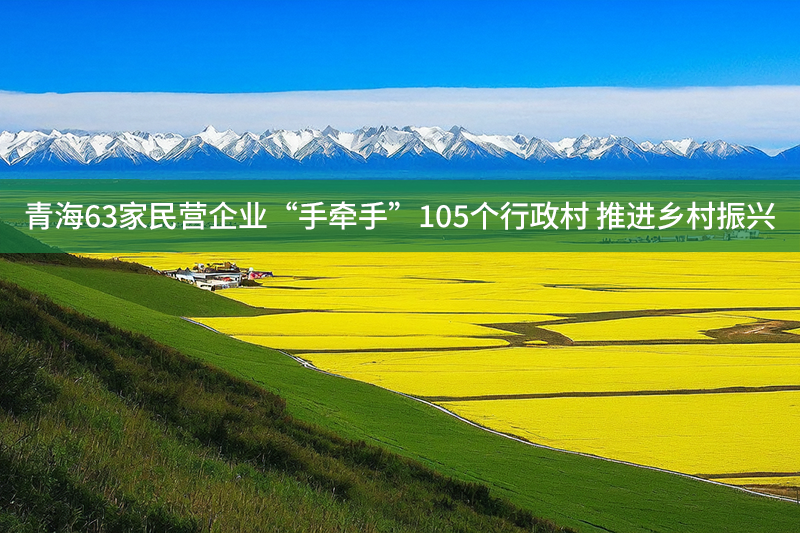 青海63家民營企業(yè)“手牽手”105個(gè)行政村 推進(jìn)鄉(xiāng)村振興