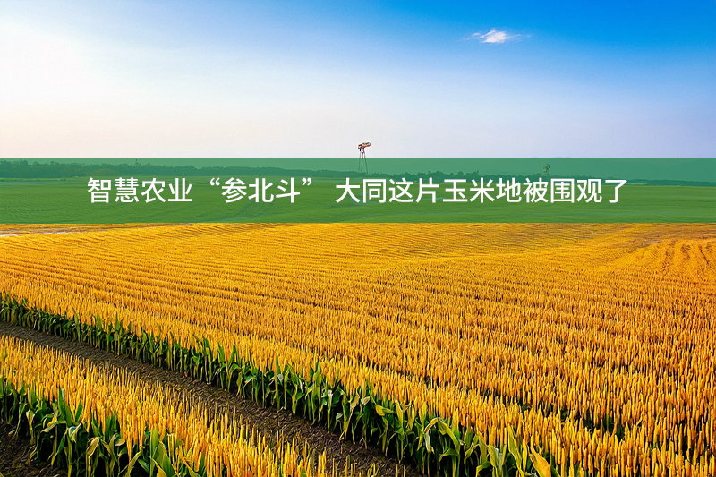 智慧農(nóng)業(yè)“參北斗” 大同這片玉米地被圍觀了
