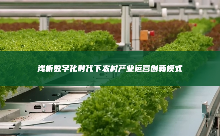 淺析數(shù)字化時代下農(nóng)村產(chǎn)業(yè)運營創(chuàng)新模式