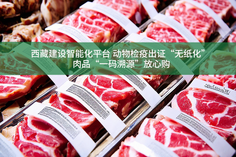 西藏建設(shè)智能化平臺(tái) 動(dòng)物檢疫出證“無紙化” 肉品“一碼溯源”放心購
