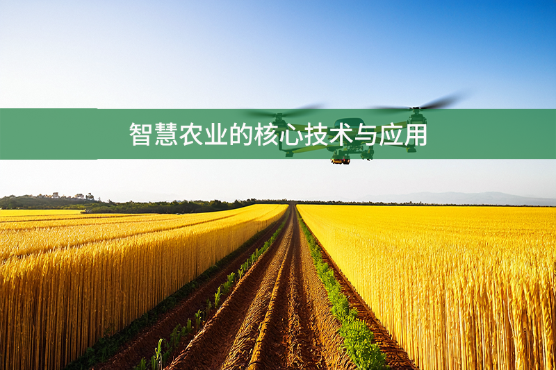 智慧農(nóng)業(yè)的核心技術(shù)與應用