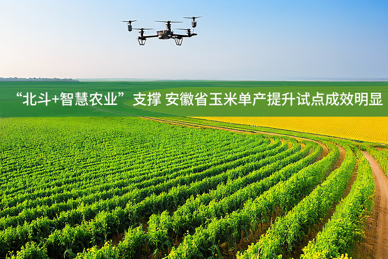 “北斗+智慧農(nóng)業(yè)”支撐 安徽省玉米單產(chǎn)提升試點成效明顯