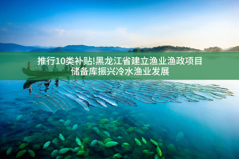 推行10類補貼!黑龍江省建立漁業漁政項目儲備庫振興冷水漁業發展