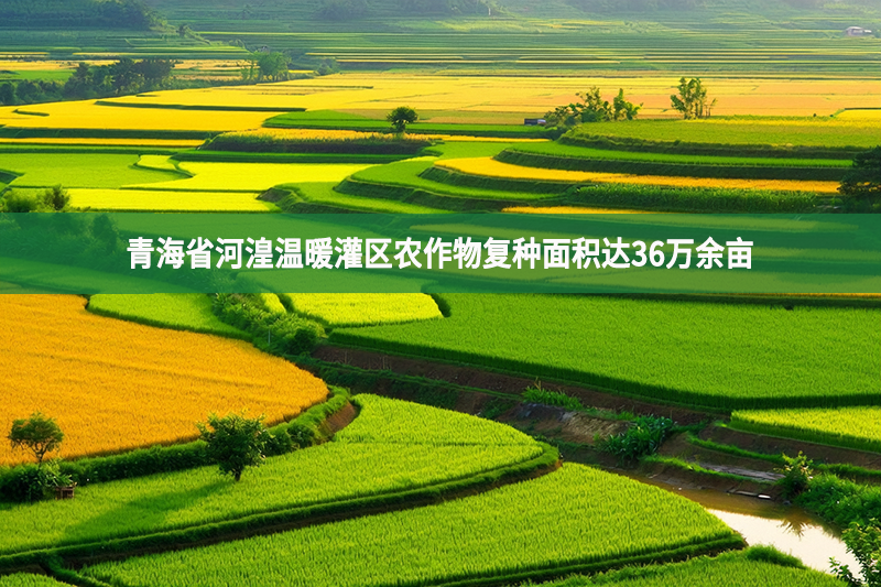 青海省河湟溫暖灌區(qū)農(nóng)作物復(fù)種面積達(dá)36萬余畝