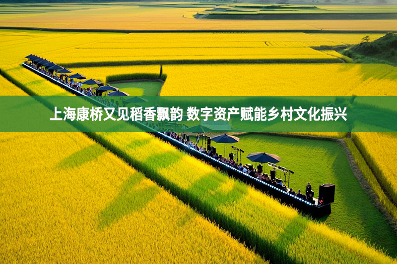 上海康橋又見稻香飄韻 數字資產賦能鄉村文化振興