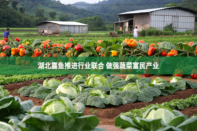 湖北嘉魚推進行業聯合 做強蔬菜富民產業