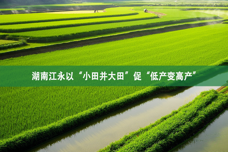 湖南江永以“小田并大田”促“低產(chǎn)變高產(chǎn)”