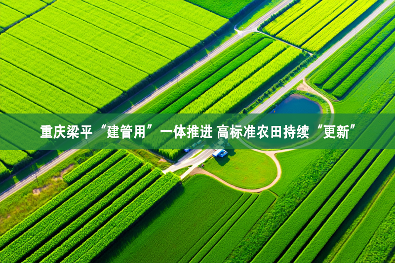 重慶梁平“建管用”一體推進(jìn) 高標(biāo)準(zhǔn)農(nóng)田持續(xù)“更新”