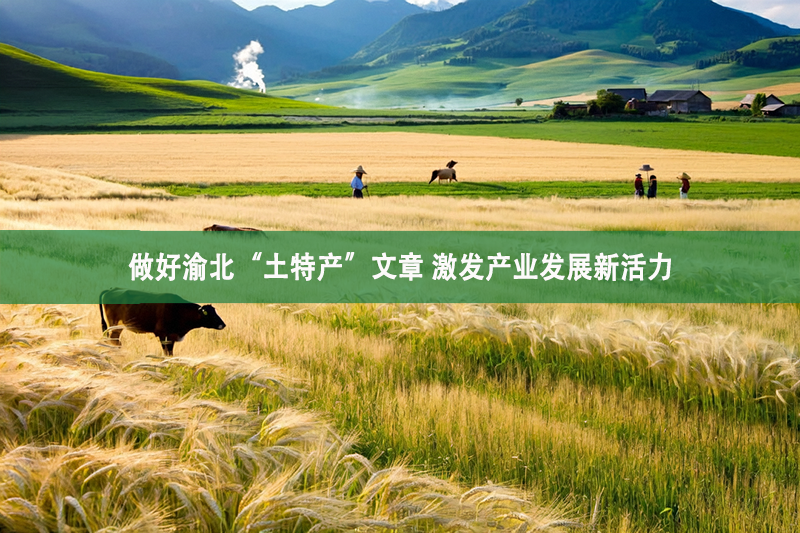 做好渝北“土特產”文章 激發產業發展新活力