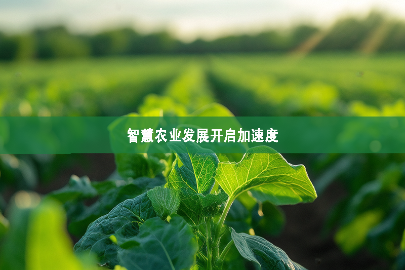 智慧農業發展開啟加速度