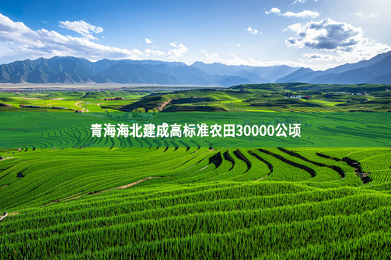 青海海北建成高標(biāo)準(zhǔn)農(nóng)田30000公頃