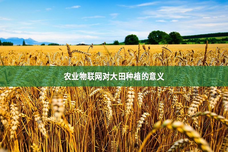 農(nóng)業(yè)物聯(lián)網(wǎng)對大田種植的意義