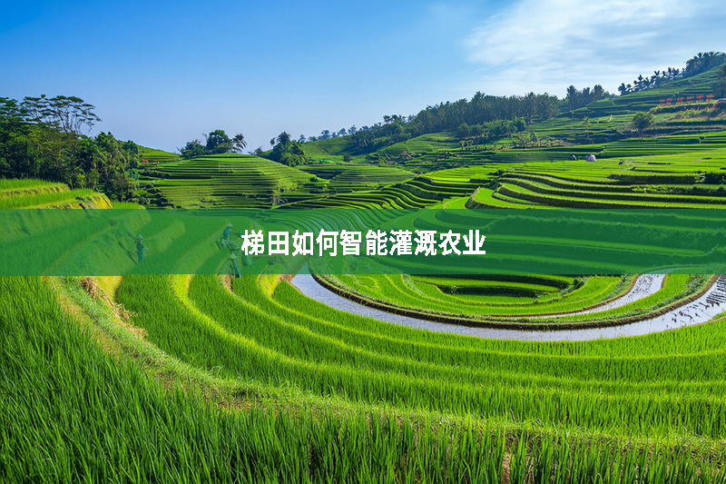 梯田如何智能灌溉農(nóng)業(yè)