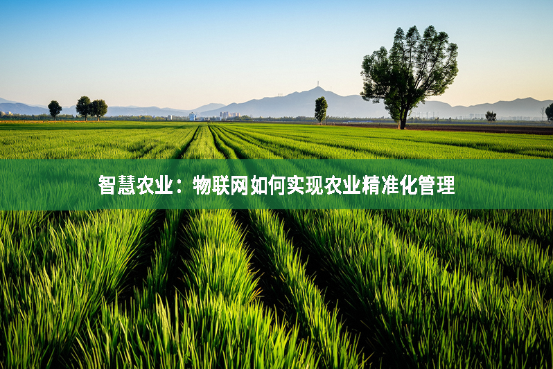 智慧農業：物聯網如何實現農業精準化管理
