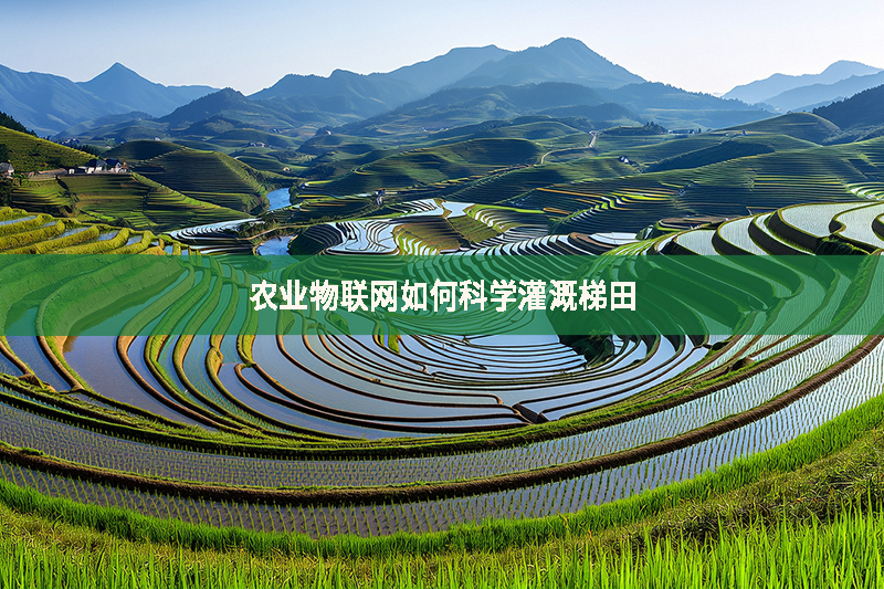 農業物聯網如何科學灌溉梯田