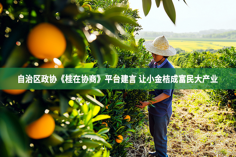 自治區(qū)政協(xié)《桂在協(xié)商》平臺(tái)建言 讓小金桔成富民大產(chǎn)業(yè)