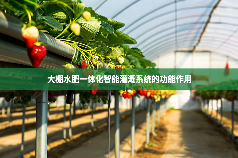 大棚水肥一體化智能灌溉系統的功能作用