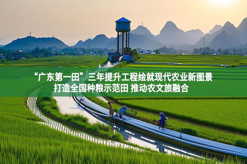 “廣東第一田”三年提升工程繪就現(xiàn)代農(nóng)業(yè)新圖景 打造全國種糧示范田 推動農(nóng)文旅融合
