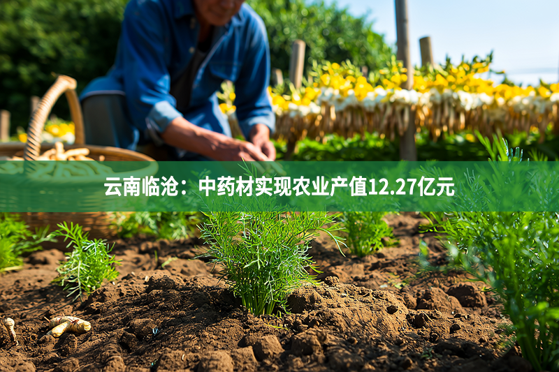 云南臨滄：中藥材實現農業產值12.27億元