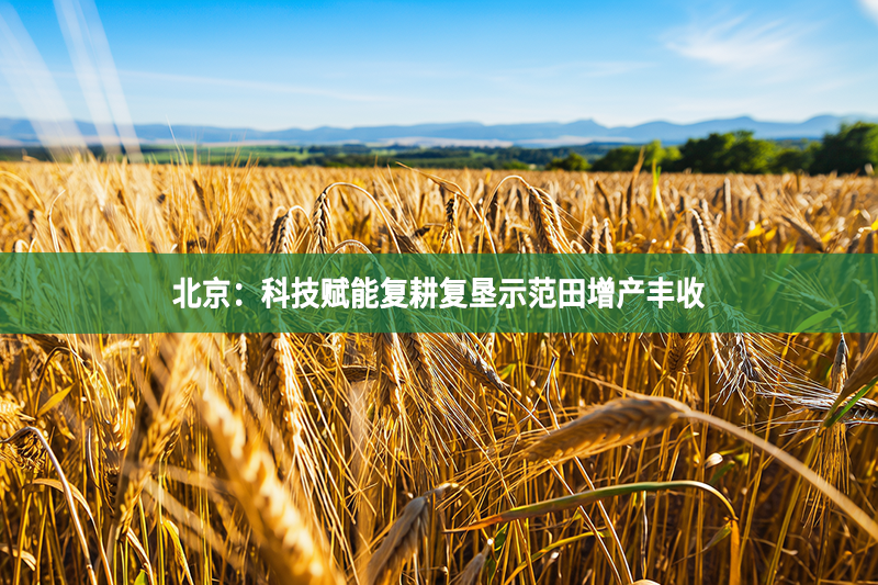 北京：科技賦能復耕復墾示范田增產豐收