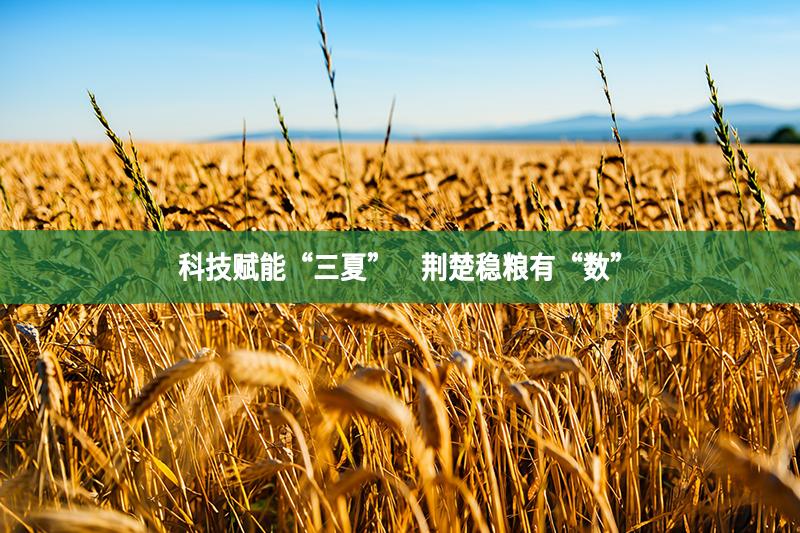 科技賦能“三夏”　荊楚穩(wěn)糧有“數(shù)”