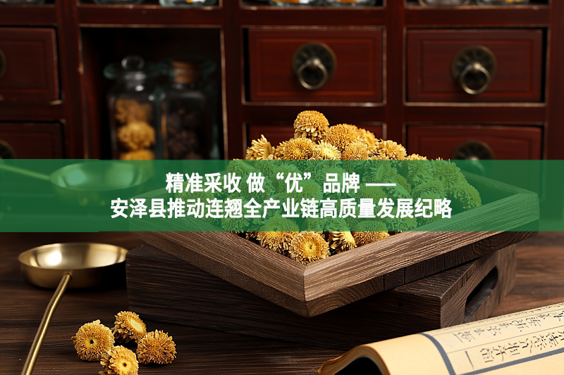 精準采收 做“優”品牌 ——安澤縣推動連翹全產業鏈高質量發展紀略