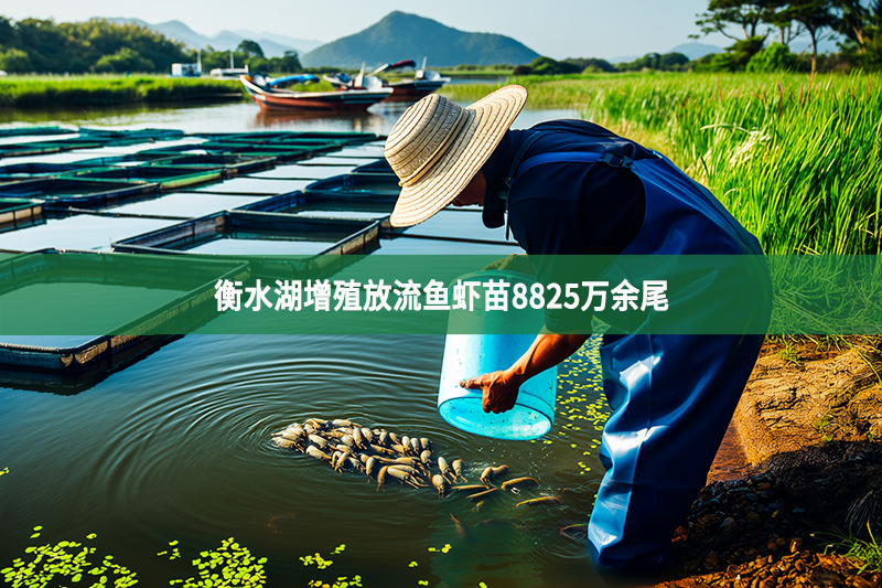 衡水湖增殖放流魚(yú)蝦苗8825萬(wàn)余尾